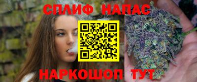 дживик Тверь