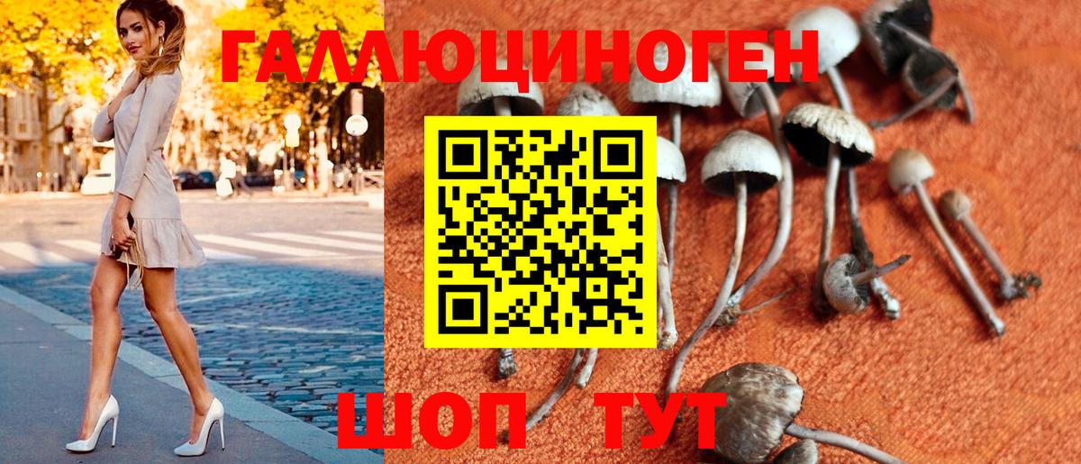 Галлюциногенные грибы мухоморы Барнаул
