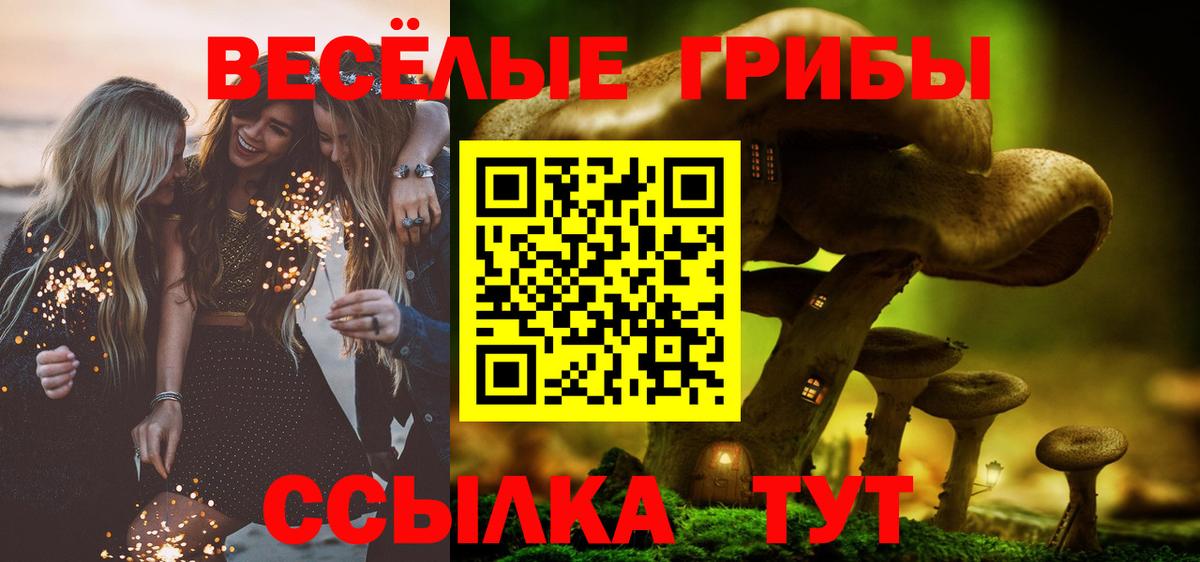 сколько стоит  Вход с VPN  Барнаул  Псилоцибиновые грибы GOLDEN TEACHER 